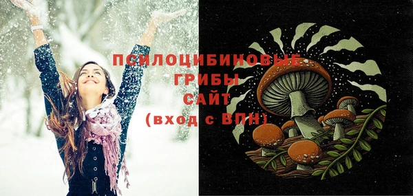 2c-b Алзамай