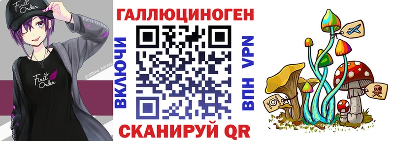 это телеграм  как найти   Бородино  Галлюциногенные грибы Psilocybe 